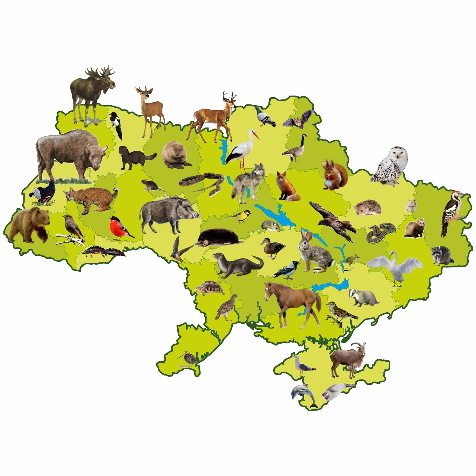 Карта тварин України