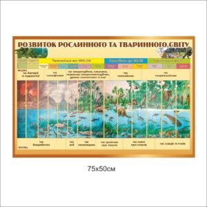 Стенд «Розвиток рослинного та тваринного світів»