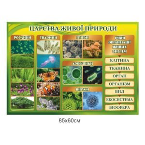Стенд «Царства живої природи»