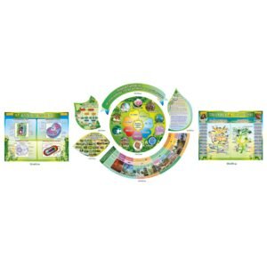 Кабінет біології – оформлення стендами