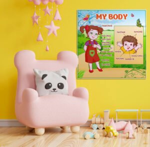 Стенд «My body»