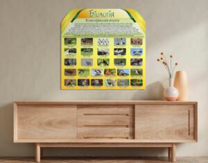 Стенд «Біологія. Класифікація птахів»