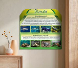Стенд «Біологія. Класифікація риб»