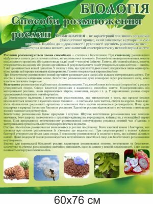 Стенд «Біологія. Способи розмноження рослин»