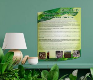 Стенд «Біологія. Види коренів і типи кореневих систем»