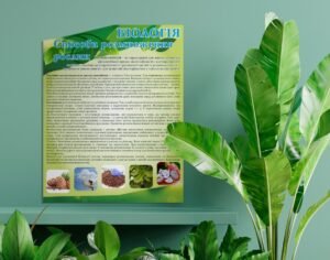 Стенд «Біологія. Способи розмноження рослин»