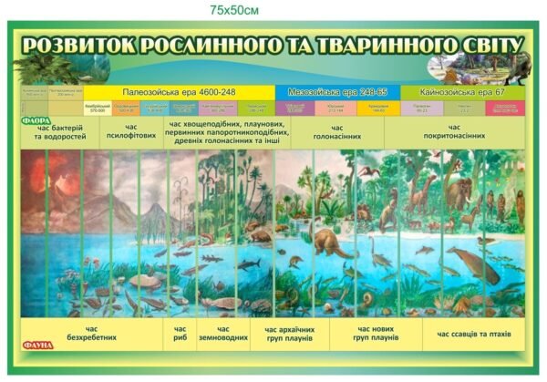 Розвиток рослинного та тваринного світу