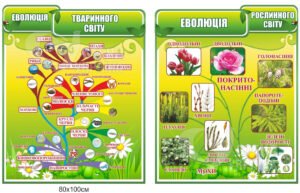 Еволюція тваринного та рослинного світу