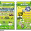 Рівні організації живої матерії