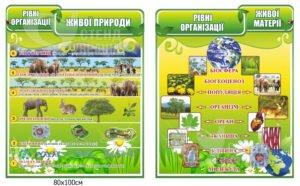 Рівні організації живої матерії