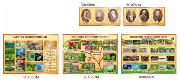 Комплект стендів для оформлення кабінету біології