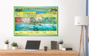 Розвиток рослинного та тваринного світу