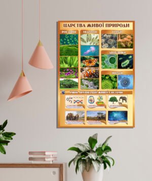 Царство живої природи