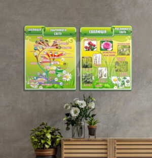 Еволюція тваринного та рослинного світу