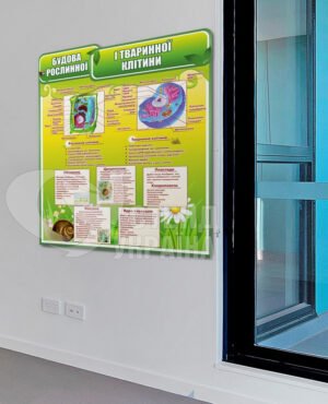 Будова рослинної та тваринної клітин