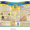 Стенд Історія козацтва