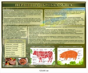 Стенд “Первинна обробка м’яса”