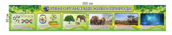 Стенд для кабінету біології “Рівні організації живої природи”