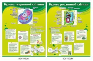 Набір стендів для кабінету біології