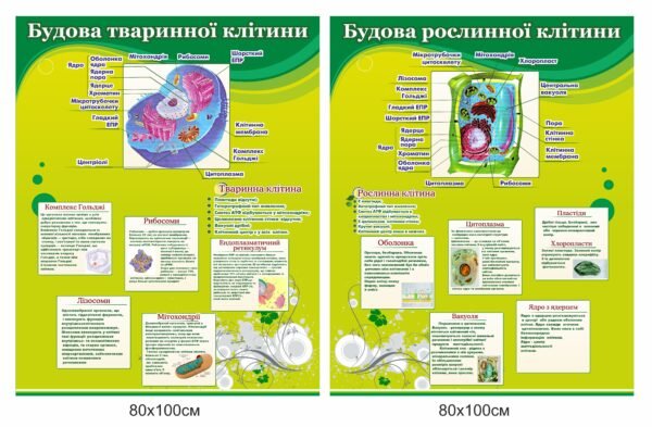Набір стендів для кабінету біології