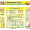 Стенди для їдальні “Правильне харчування – гармонійний розвиток”
