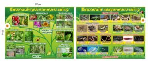 Набір стендів для кабінету біології