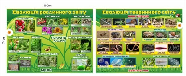 Набір стендів для кабінету біології