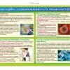 Інформаційний стенд “Інфекційні захворювання та їх профілактика”