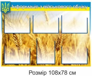 Стенд інформаційний з використанням пластикових комірок “Військовий облік”