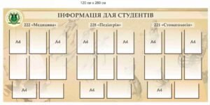 Стенд інформаційний з прозорими комірками для студентів