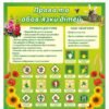 Стенд для школи “Права та обов’язки учнів”