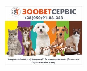 Розробка індивідуального рекламного банеру для ветеринара