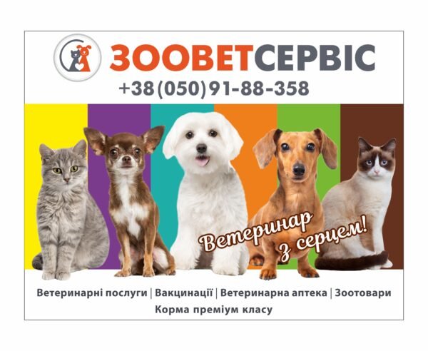 Розробка індивідуального рекламного банеру для ветеринара