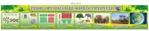 Стенд для оформлення кабінету біології “Рівні організації живої природи”