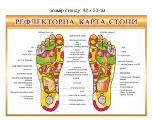 Стенд “Рефлекторна карта стопи”