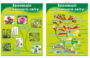 Стенди “Еволюція рослинного та тваринного світу”