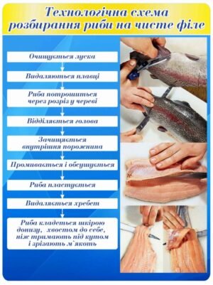 Стенд “Схема розбирання риби на чисте філе”