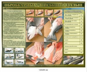 Стенд “Обробка риби у військовій їдальні”