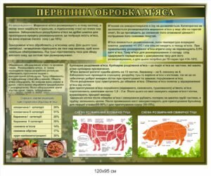 Стенд для їдальні “Первинна обробка м’яса”