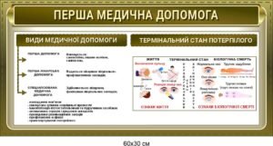 Комплект стендів “Перша медична допомога”