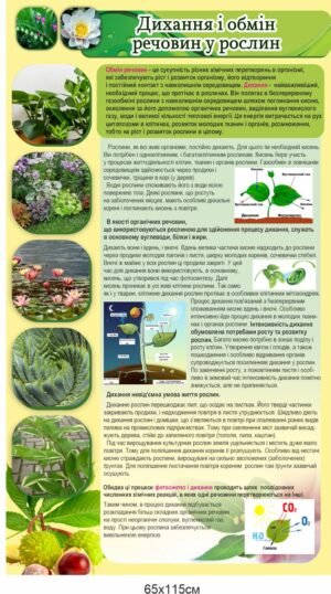 Комплект стендів в кабінет біології