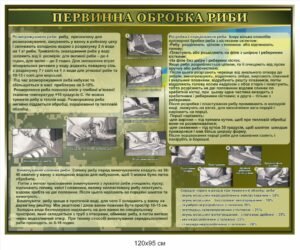 Стенд “Первинна обробка риби”