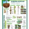 Комплект стендів з ботаніки 16719