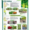Комплект стендів з ботаніки 16721