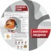 Стенди з анатомії людини 17023