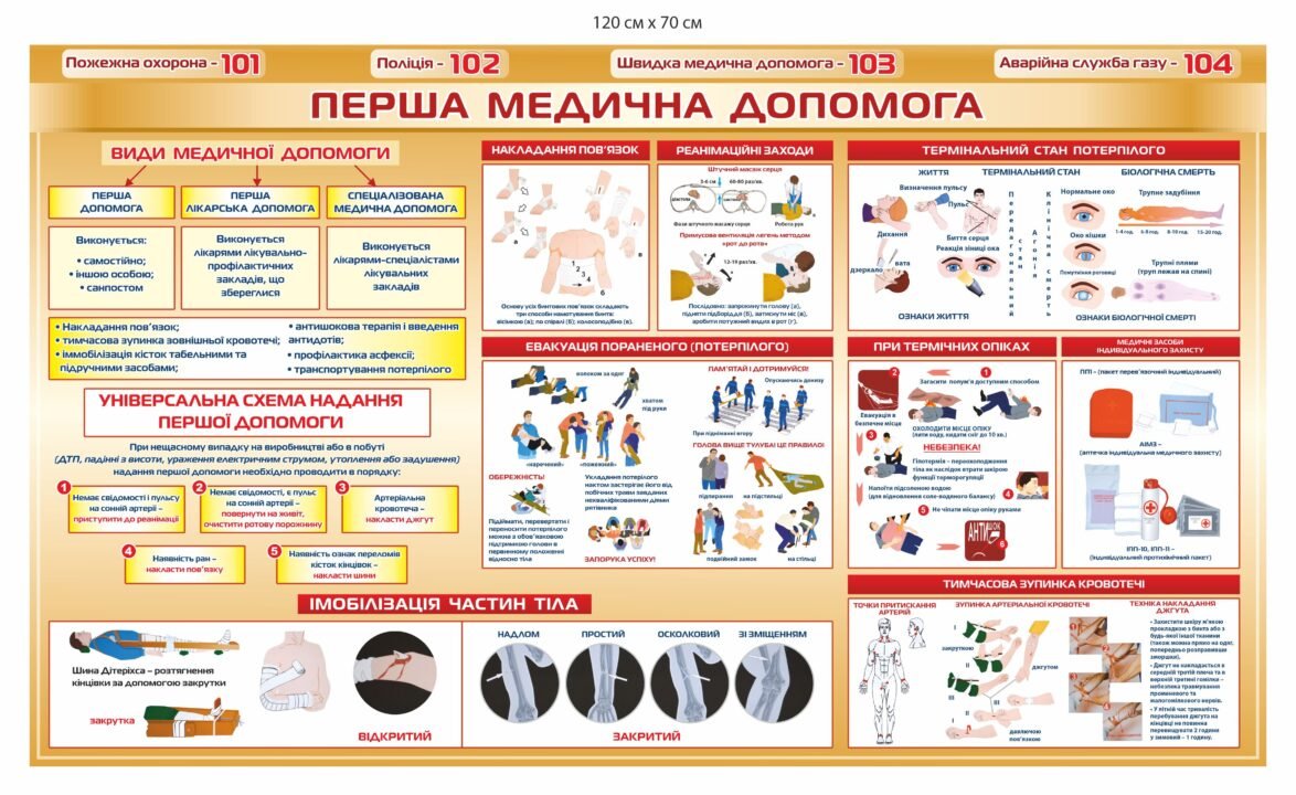 Перша домедична допомога