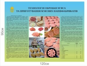 Стенд “Технологія обробки м’яса та приготування м’ясних напівфабрикатів”