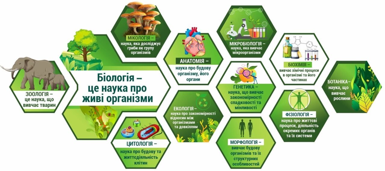 Розділи біології