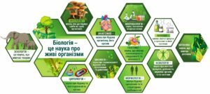 Комплект стендів “Розділи біології”
