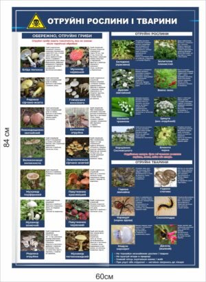 Стенд “Отруйні рослини і тварини”